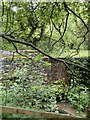 Bridge over stream