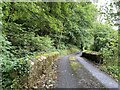 Bridge over stream in rural Carmarthenshire