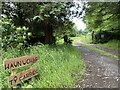 Track to Waun Uchaf and Tŷ Carreg