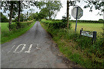 H5173 : Rushill Road, Killycurragh by Kenneth  Allen