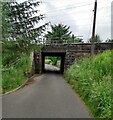 NS9260 : Low narrow bridge by Jim Smillie