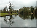 Grand Union Canal north of Bridge 163