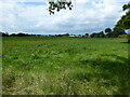 Looking across pastures towards a large farm