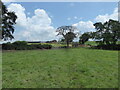 View uphill to the farms