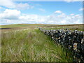 NS6737 : Drystane dyke and fenceline on Side Hill by Alan O'Dowd