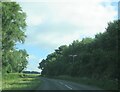 Newsham  Lane  north  of  Habton  Grange  Farm