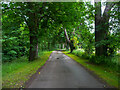 Bridleway on the driveway to Thistlewood, Highbridge