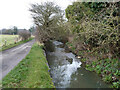 Brook towards River Colne