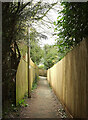 Footpath, Totnes