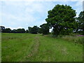 Field edge footpath line