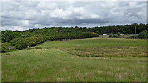SJ9314 : Staffordshire pasture and woodland near Penkridge by Roger  D Kidd