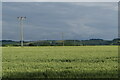 Power lines over the field