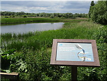 TL3469 : Fen Drayton Lakes - Nature Reserve by Colin Smith