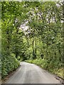 Country lane towards Talog