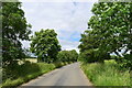 TF0900 : Wild cherry trees lining Langley Bush Road by Tim Heaton