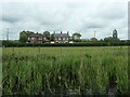 Semi-detached houses, Small Lane North, North Moor