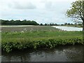 Covered and uncovered crops, east of Halsall