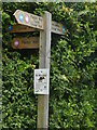 TG2834 : Signpost showing local walks by David Pashley