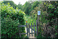 Path into Stubbing Nature Reserve