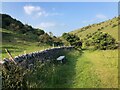 Footpath running alongside wall in Deep Dale