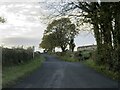 Pasture Lane heading to Roughlee