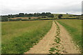 Footpath to Fullbrook