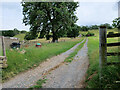 Access Track to Braithwaite Cottage