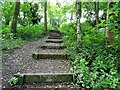 SD7314 : Steps on a woodland path by Philip Platt