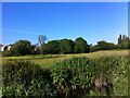 River Sherbourne in Lake View Park, Coventry