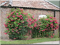 East Heslerton Wold Farm