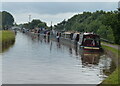 SJ6452 : Narrowboats moored along the Shropshire Union Canal by Mat Fascione