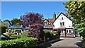 The Queen Victoria pub, Theydon Bois