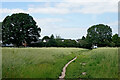 Footpath across farmland near Coven, Staffordshire