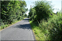H4874 : Tirquin Road, Ballynamullan by Kenneth  Allen