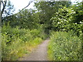 Gated footpath, Thorpe Acre