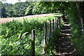 Footpath on Carter?s Hill