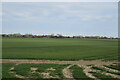 Farmland, Romney Marshes