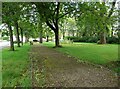 Small park, Elmwood Avenue