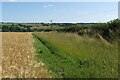 Power lines along the field edge