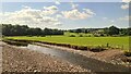 Afon Sawdde near Llangadog