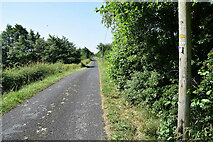 H5171 : Crocknacor Road, Recarson by Kenneth  Allen