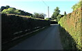 Hedge-lined road, Bettws Newydd, Monmouthshire