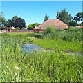 Edgefield pond and Village Hall