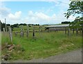 Lots of wooden posts