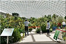 SN5218 : National Botanic Garden of Wales: Greenhouse with its single span roof by Michael Garlick