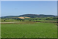 Field near Newmill