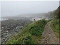 The South West Coast Path at Trenow Cove