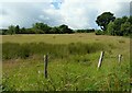 Field beside Queenzieburn