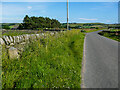 Boundary stone on Little Cake, Wooldale / Scholes