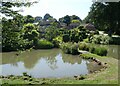 Ornamental ponds at Ugbrooke House Estate